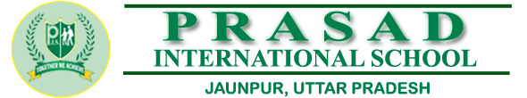 Prasad International School